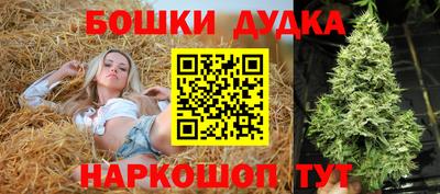 крисы Волжский
